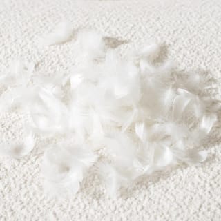 WHITE photo 3
